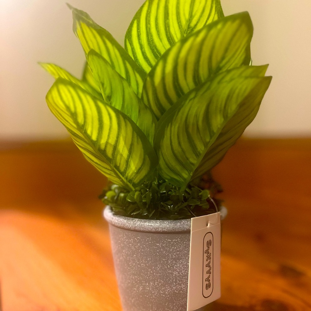 BNWT Fake Plant